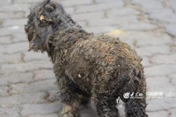 突發(fā)！青島一居民樓發(fā)生爆燃！已造1人死亡，7人受傷！3公里外有震感…