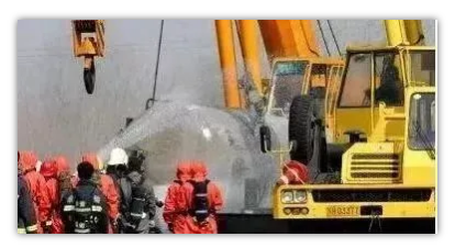 1591777932116308.png image.png